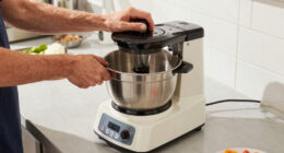 7 Best Commercial Food Processor Large Bowl in 2026