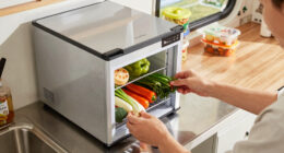 8 Best Portable Fridge Freezer 12V in 2026