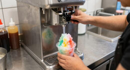 8 Best Snow Cone Machine Commercial in 2026