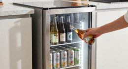 9 Best Undercounter Beverage Fridge in 2026