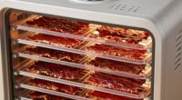 consistent airflow improves jerky dehydration