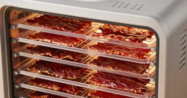consistent airflow improves jerky dehydration