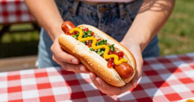 10 Best Hot Dog Condiments for Classic Cookouts in 2026