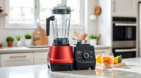 How to Clean a Vitamix E310 Explorian Safely & Effectively