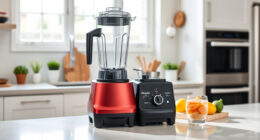 How to Clean a Vitamix E310 Explorian Safely & Effectively