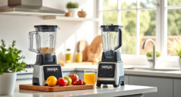 Ninja Professional Blender: Your Summer Smoothie Sidekick