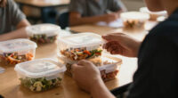 School Lunch Food Containers: A Back to school Guide