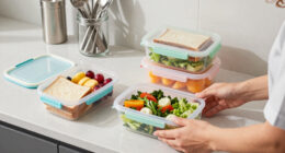 11 Best Lunch Box Food Containers in 2026