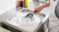 9 Best Shaved Ice Makers in 2026