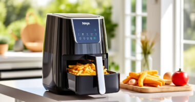 Beat the Heat with the Ninja Foodi 10 Qt DualZone Air Fryer