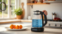 Beat the Summer Rush: Ninja KT200BL Precision Temp Kettle Review