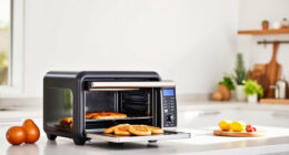 Keep Your Ninja Foodi XL Pro Air Oven Summer-Ready with Care & Troubleshooting Tips