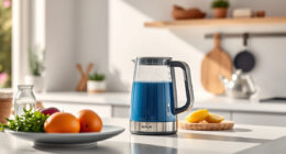 Keep Your Ninja KT200BL Kettle Summer-Ready with Care & Troubleshooting Tips