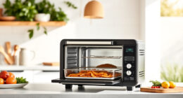 Ninja Foodi XL Pro Air Oven: The Ultimate Summer Countertop Companion