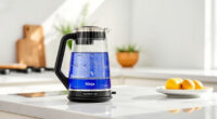 Ninja KT200BL Precision Temperature Electric Kettle: The Summer Tea Companion