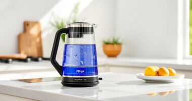 Ninja KT200BL Precision Temperature Electric Kettle: The Summer Tea Companion