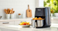 Summer Care & Troubleshooting for the Ninja Foodi 10 Quart Air Fryer