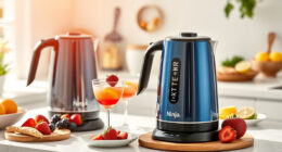 Summer Refreshments Made Easy with Ninja KT200BL Electric Kettle